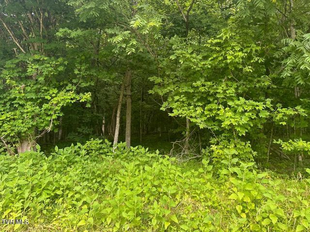Tbd Flora Road, Rogersville, TN 37857