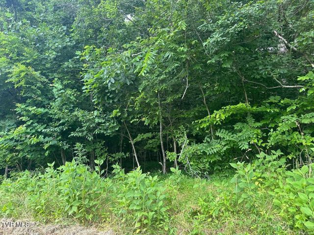 Tbd Flora Road, Rogersville, TN 37857