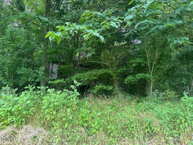 Tbd Flora Road, Rogersville, TN 37857