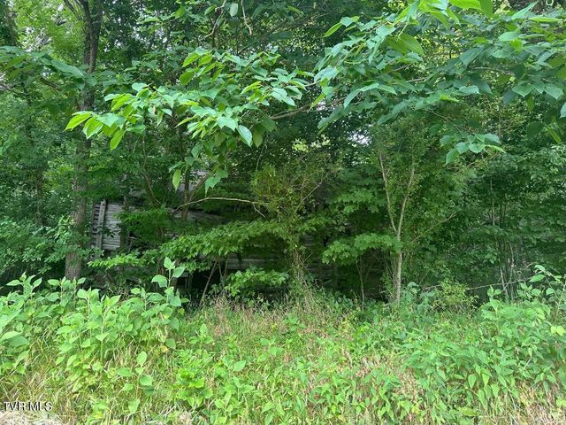 Tbd Flora Road, Rogersville, TN 37857