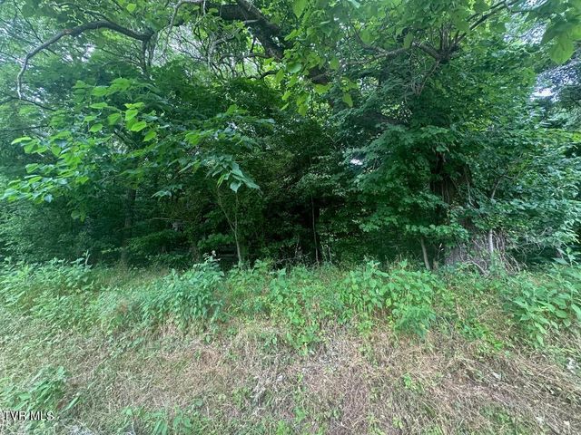 Tbd Flora Road, Rogersville, TN 37857