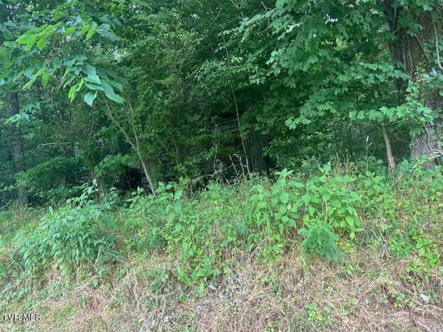 Tbd Flora Road, Rogersville, TN 37857