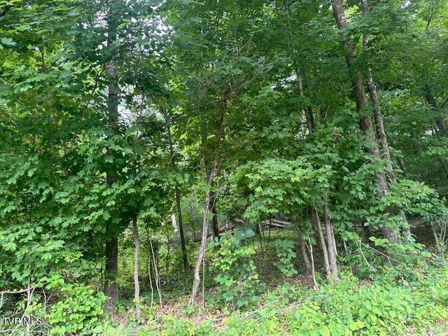 Tbd Flora Road, Rogersville, TN 37857