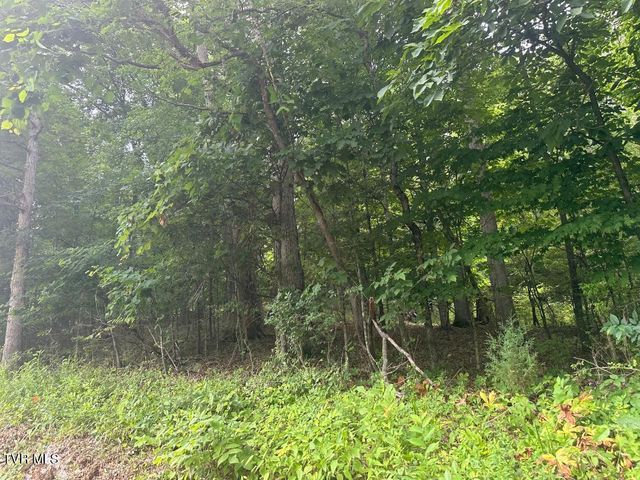 Tbd Flora Road, Rogersville, TN 37857