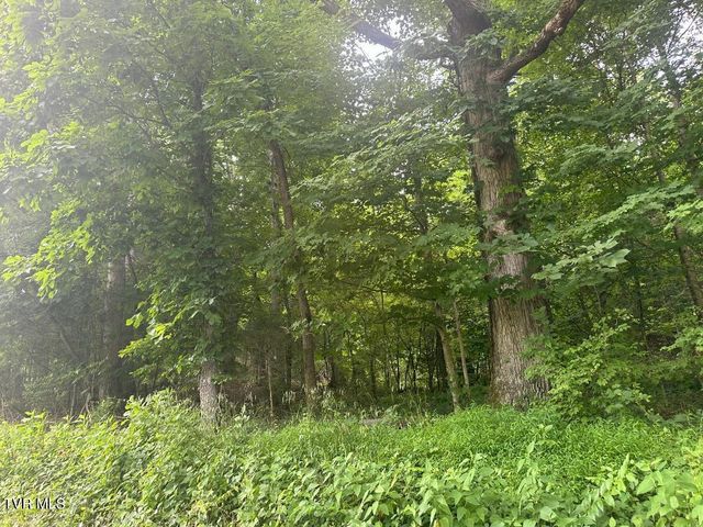Tbd Flora Road, Rogersville, TN 37857