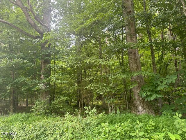 Tbd Flora Road, Rogersville, TN 37857