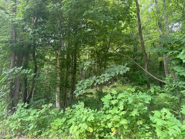 Tbd Flora Road, Rogersville, TN 37857