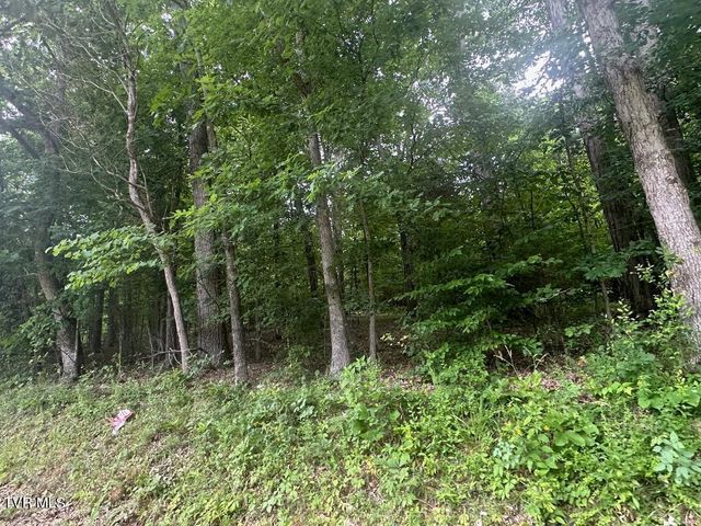 Tbd Flora Road, Rogersville, TN 37857