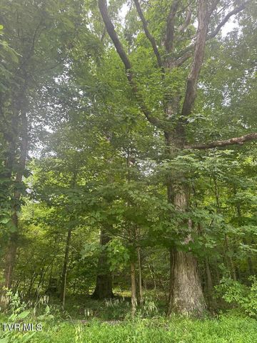 Tbd Flora Road, Rogersville, TN 37857