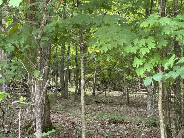 Tbd Flora Road, Rogersville, TN 37857