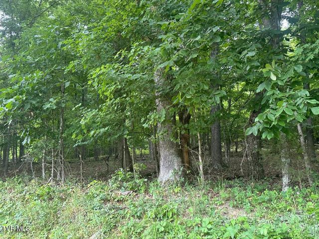 Tbd Flora Road, Rogersville, TN 37857