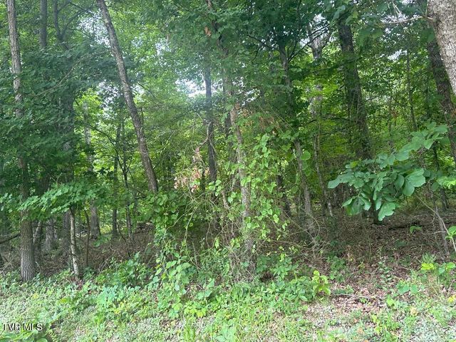 Tbd Flora Road, Rogersville, TN 37857