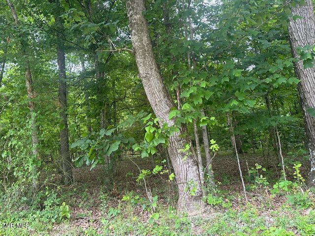 Tbd Flora Road, Rogersville, TN 37857