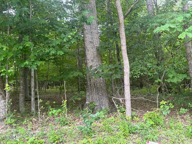 Tbd Flora Road, Rogersville, TN 37857