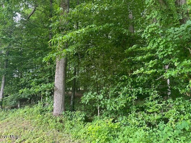 Tbd Flora Road, Rogersville, TN 37857
