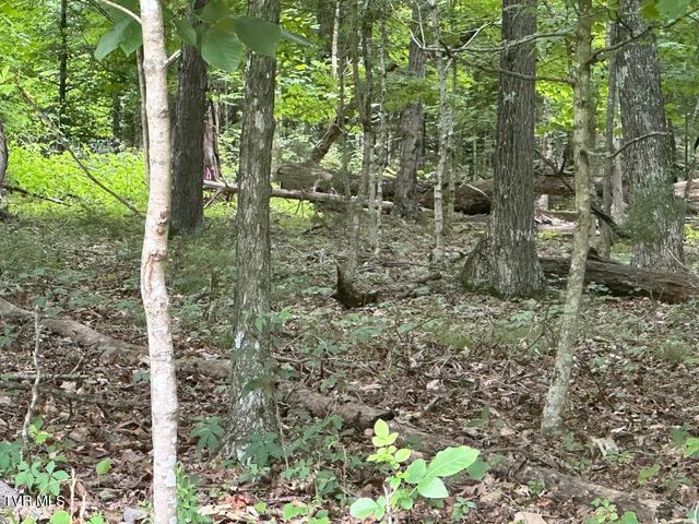 Tbd Flora Road, Rogersville, TN 37857