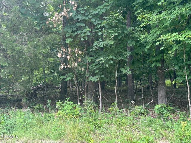 Tbd Flora Road, Rogersville, TN 37857