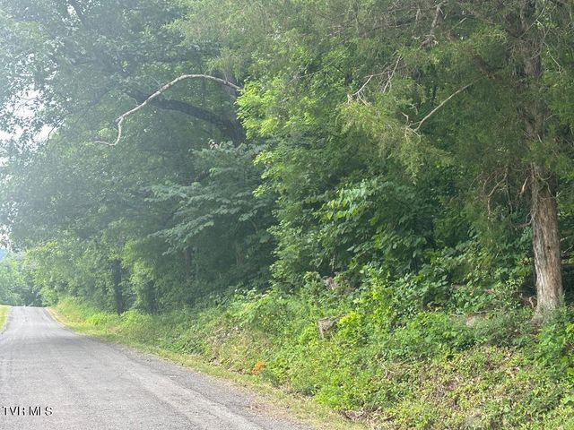 Tbd Flora Road, Rogersville, TN 37857