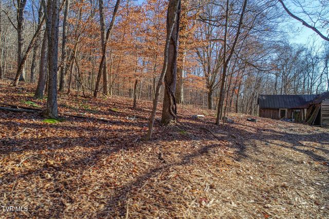 Tbd Flora Road, Rogersville, TN 37857