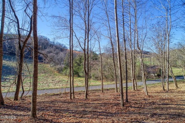 Tbd Flora Road, Rogersville, TN 37857