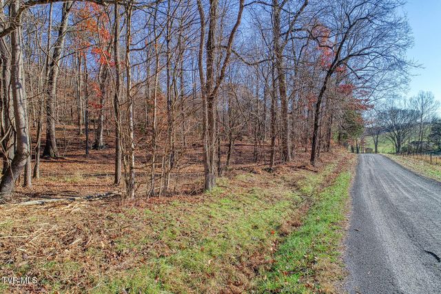 Tbd Flora Road, Rogersville, TN 37857