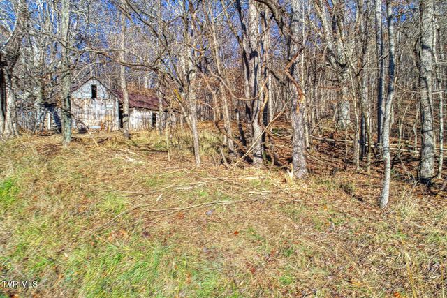 Tbd Flora Road, Rogersville, TN 37857