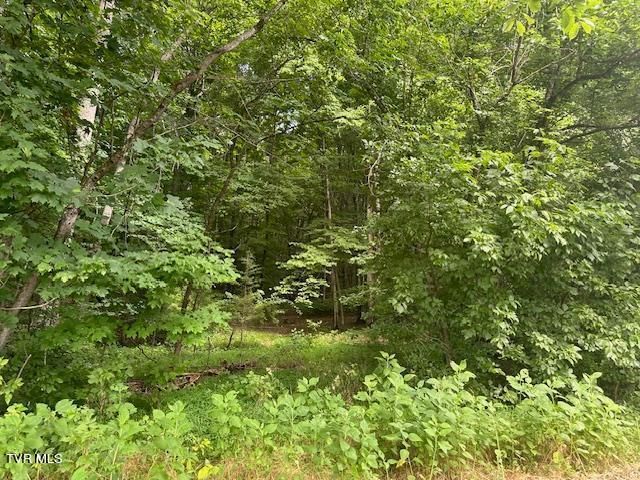 Tbd Flora Road, Rogersville, TN 37857