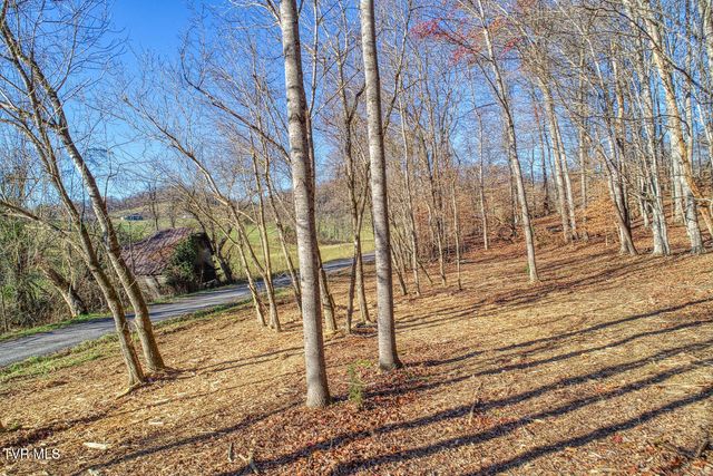 Tbd Flora Road, Rogersville, TN 37857
