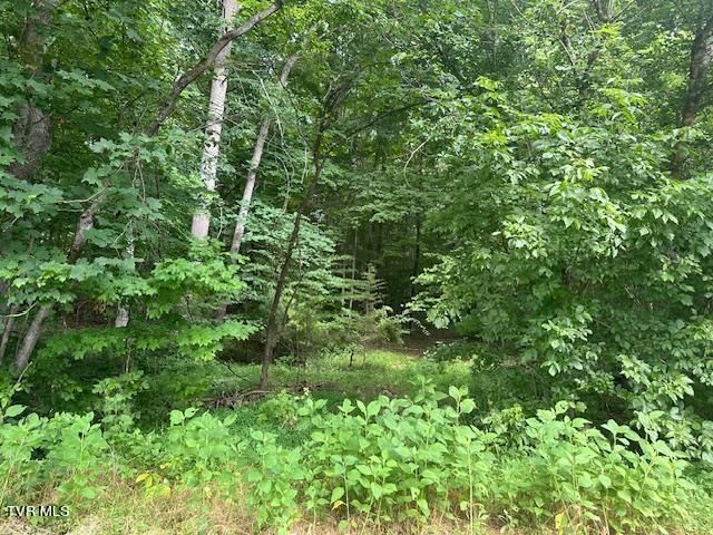 Tbd Flora Road, Rogersville, TN 37857