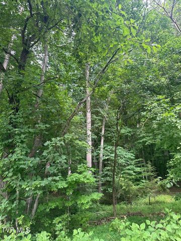 Tbd Flora Road, Rogersville, TN 37857