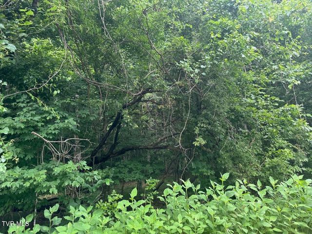 Tbd Flora Road, Rogersville, TN 37857