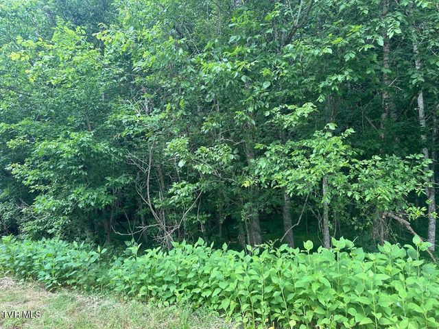 Tbd Flora Road, Rogersville, TN 37857