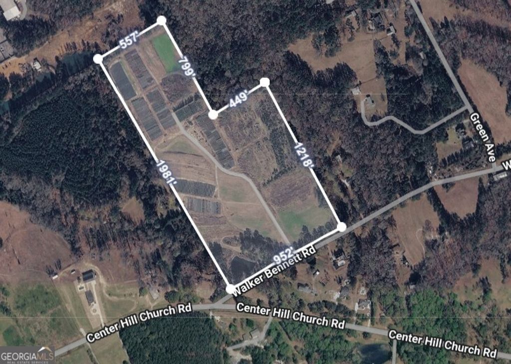 6039 Walker Bennett Road, Loganville, GA 30052