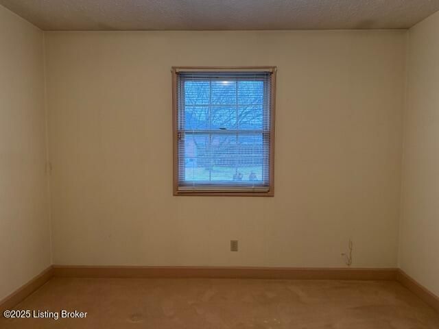 116 Windsor Ave, Bardstown, KY 40004