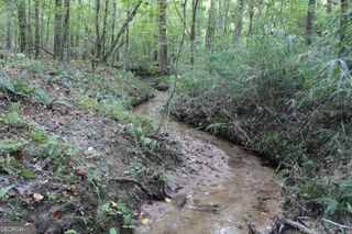 0 Ellington Road, Oxford, GA 30054