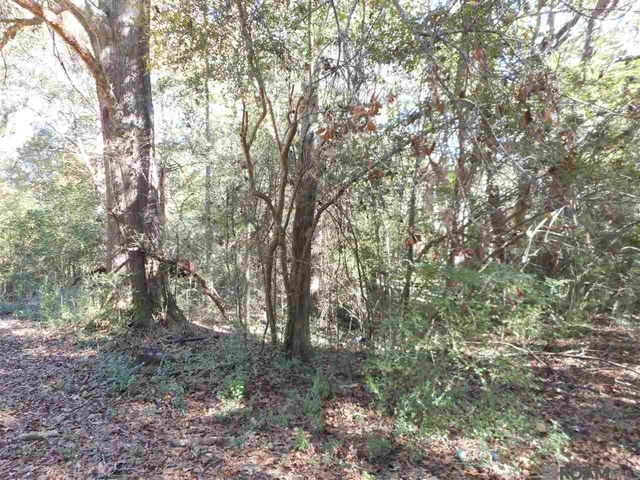 7430-C Lane Rd, Ethel, LA 70730