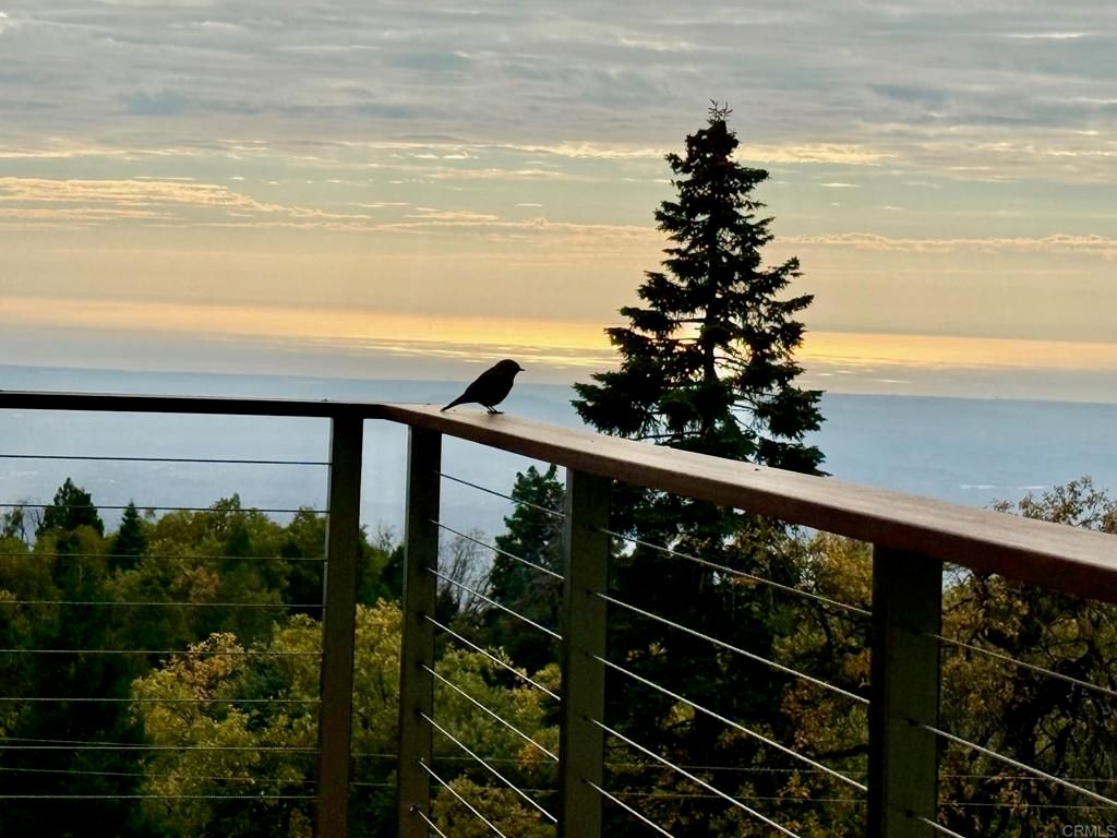 3413 Fern Meadow Road, Palomar Mountain, CA 92060 — photo 5