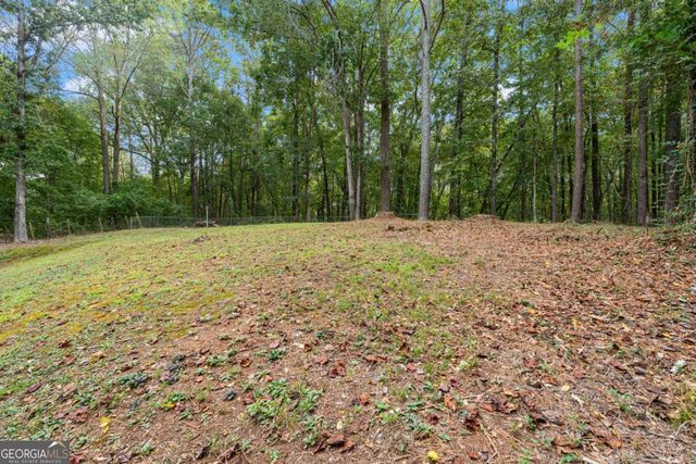 2915 Wilkes Plantation Way, Douglasville, GA 30135