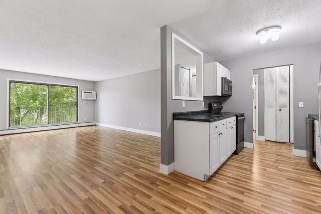 1304 W Medicine Lake Drive 320, Plymouth, MN 55441