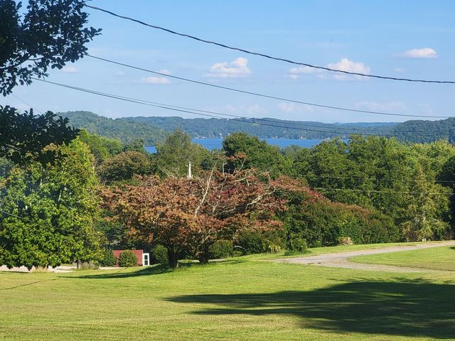 161 S Hillcrest Drive, Spring City, TN 37381