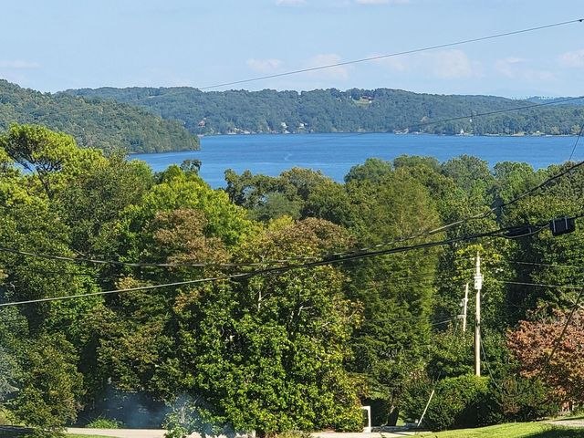 161 S Hillcrest Drive, Spring City, TN 37381