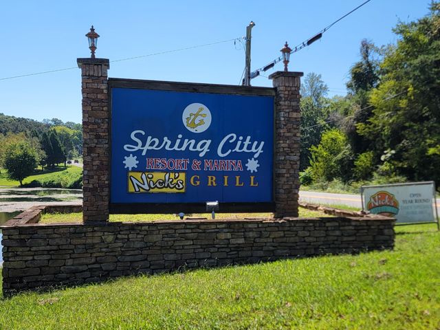 161 S Hillcrest Drive, Spring City, TN 37381