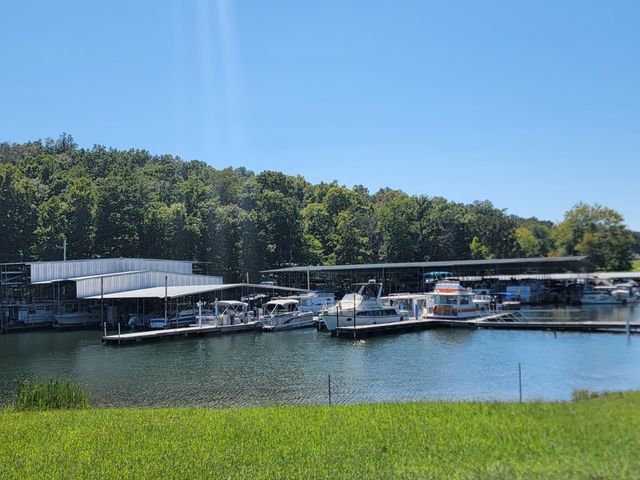 161 S Hillcrest Drive, Spring City, TN 37381