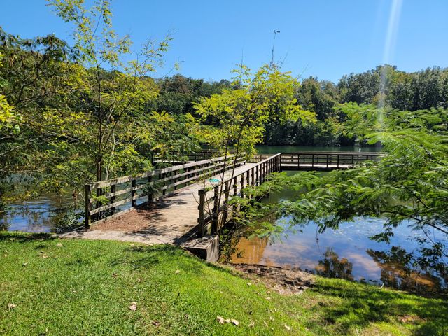 161 S Hillcrest Drive, Spring City, TN 37381