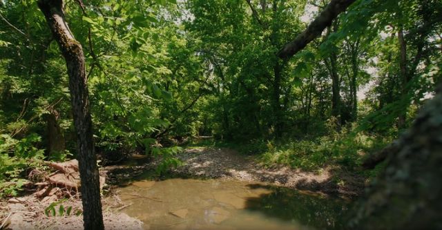 1935 Thompson Station Rd, W, Thompsons Station, TN 37179