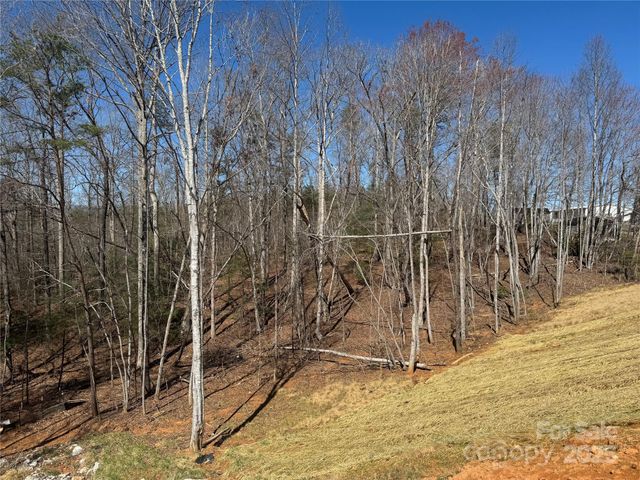 97 Harmony Drive, Nebo, NC 28761