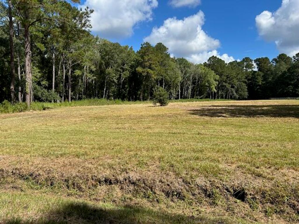 0 Horseford Road, Ridgeville, SC 29472