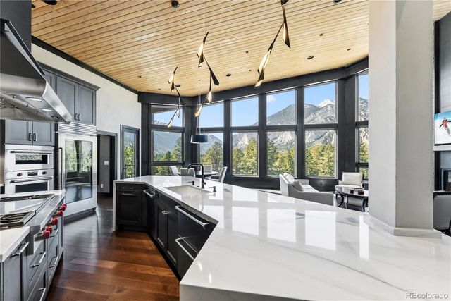 21261 Broadview Road, Nathrop, CO 81236