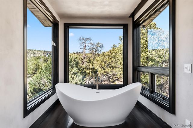 21261 Broadview Road, Nathrop, CO 81236