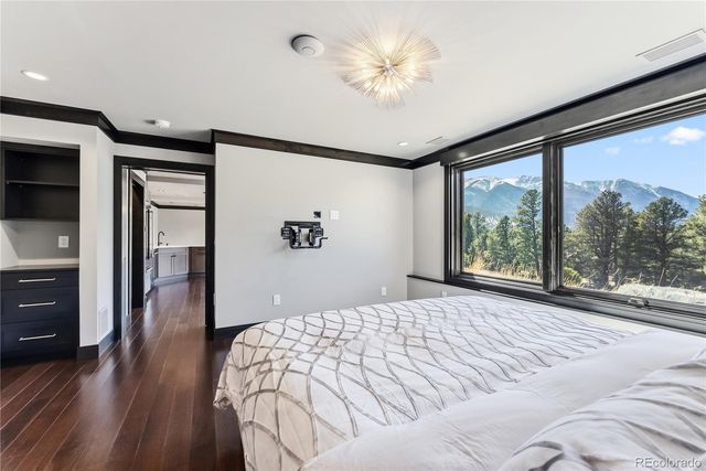 21261 Broadview Road, Nathrop, CO 81236